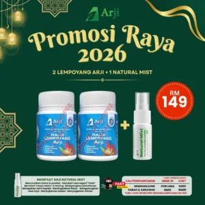 Pakej Kembar Promo Raya 2026